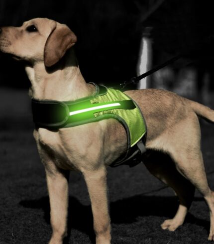 Luminous-LED-K9-Dog-Harness-Dog-Collar-Safety-Reflective-Harness-Vest-For-Husky-Shepherd-Labrador-Medium.jpg